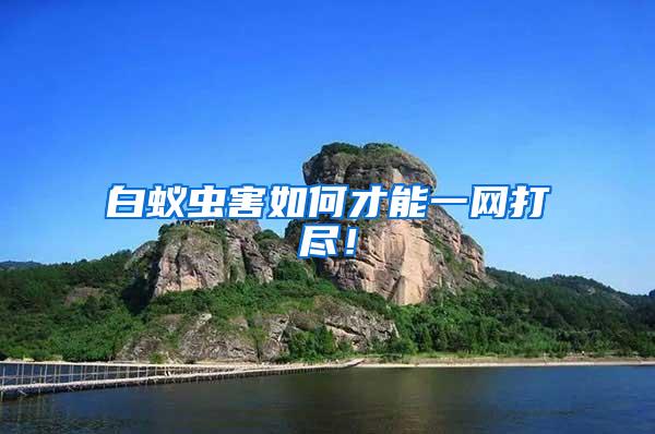 白蟻蟲害如何才能一網(wǎng)打盡！