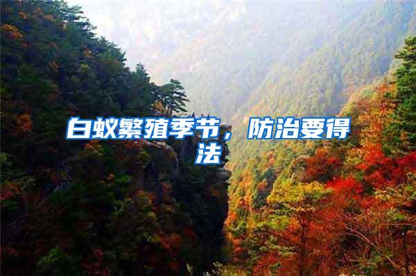 白蟻繁殖季節，防治要得法