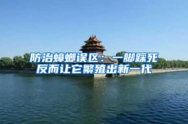 防治蟑螂誤區：一腳踩死反而讓它繁殖出新一代