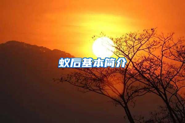 蟻后基本簡(jiǎn)介