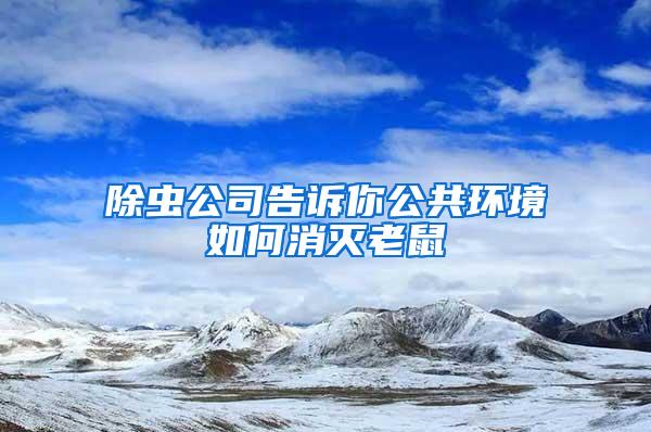除蟲公司告訴你公共環(huán)境如何消滅老鼠