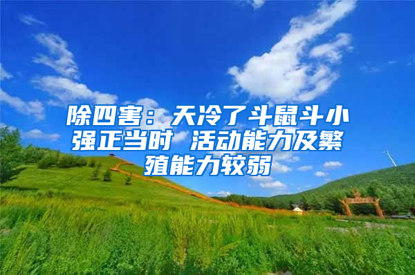 除四害：天冷了斗鼠斗小強(qiáng)正當(dāng)時(shí) 活動能力及繁殖能力較弱