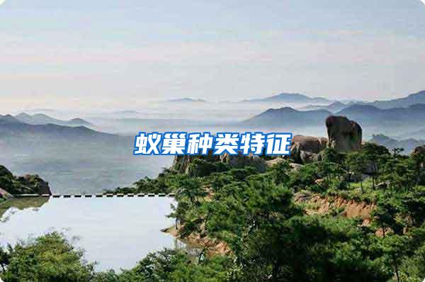 蟻巢種類(lèi)特征