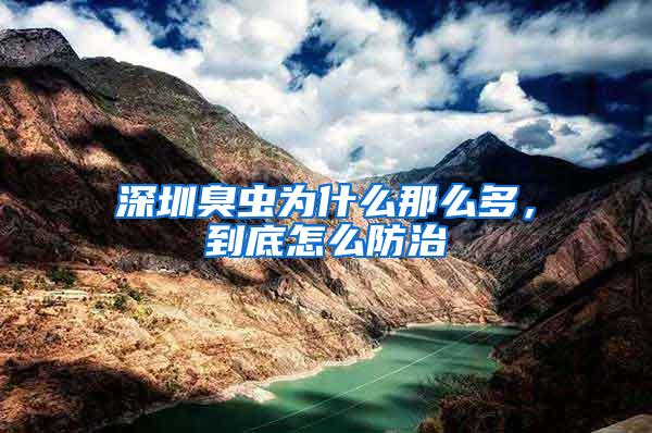 深圳臭蟲為什么那么多，到底怎么防治