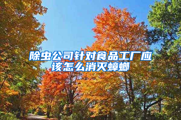 除蟲公司針對食品工廠應(yīng)該怎么消滅蟑螂