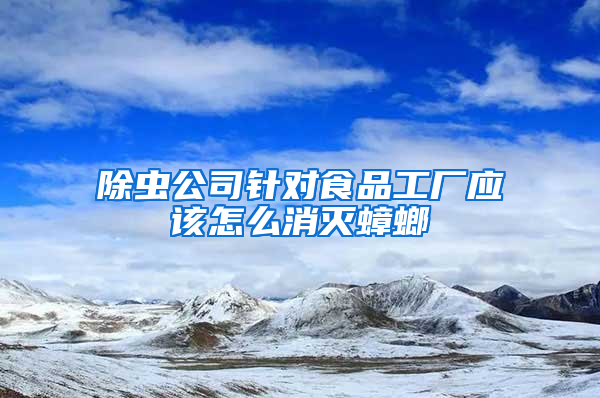 除蟲公司針對食品工廠應(yīng)該怎么消滅蟑螂