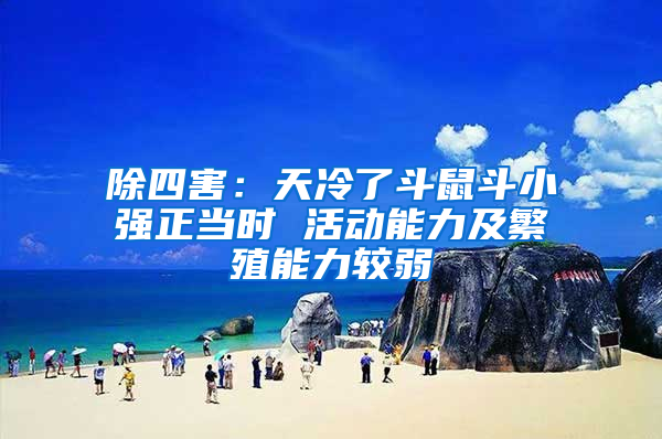 除四害：天冷了斗鼠斗小強正當(dāng)時 活動能力及繁殖能力較弱
