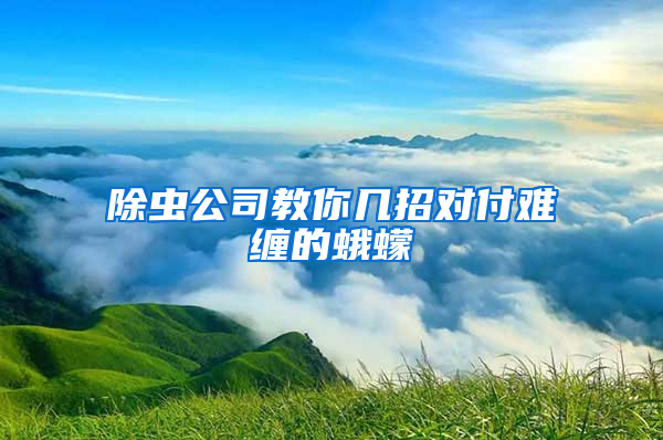 除蟲(chóng)公司教你幾招對(duì)付難纏的蛾蠓