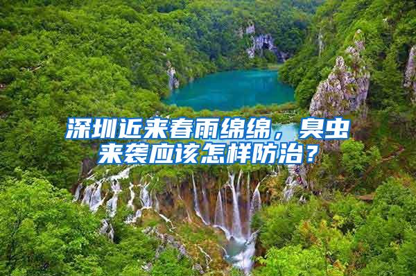 深圳近來(lái)春雨綿綿，臭蟲(chóng)來(lái)襲應(yīng)該怎樣防治？