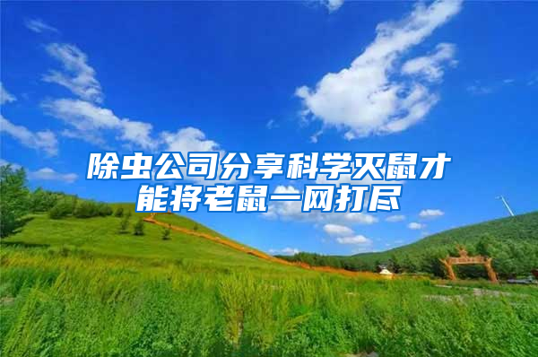 除蟲公司分享科學(xué)滅鼠才能將老鼠一網(wǎng)打盡