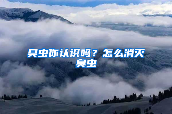 臭蟲你認識嗎？怎么消滅臭蟲