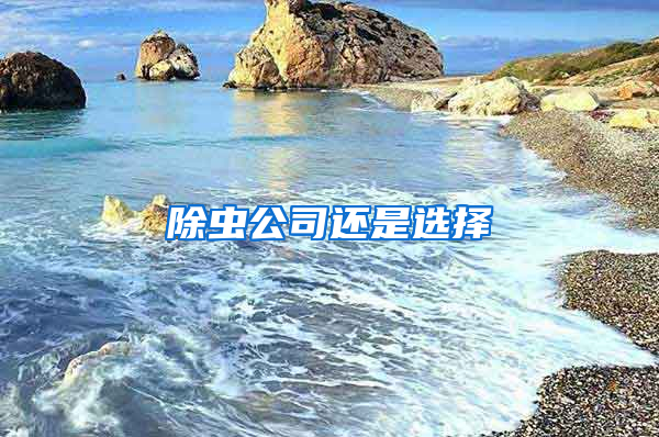 除蟲公司還是選擇