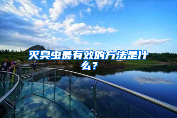 滅臭蟲最有效的方法是什么？
