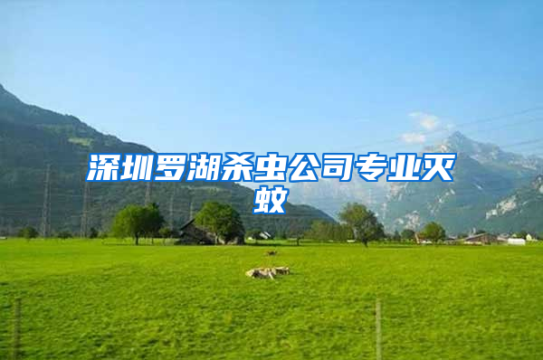 深圳羅湖殺蟲(chóng)公司專業(yè)滅蚊
