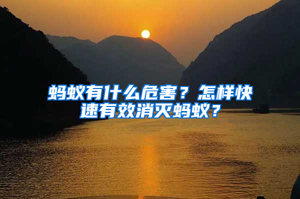 螞蟻有什么危害？怎樣快速有效消滅螞蟻？