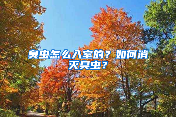 臭蟲怎么入室的？如何消滅臭蟲？