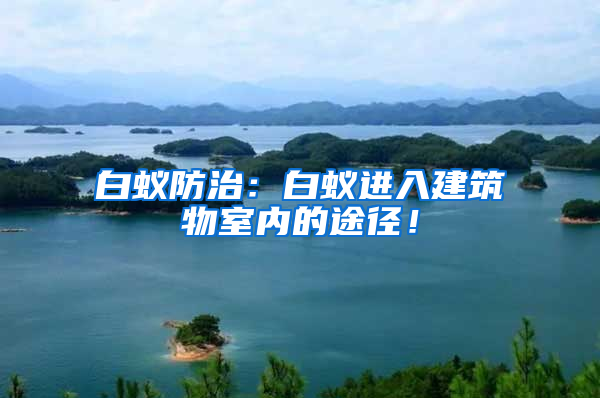 白蟻防治：白蟻進入建筑物室內(nèi)的途徑！
