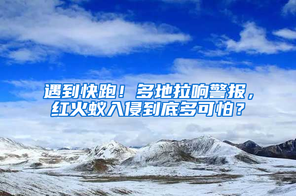 遇到快跑！多地拉響警報(bào)，紅火蟻入侵到底多可怕？