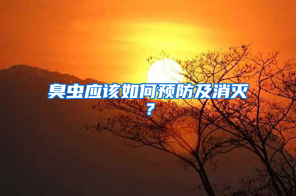 臭蟲(chóng)應(yīng)該如何預(yù)防及消滅？