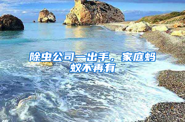 除蟲公司一出手，家庭螞蟻不再有