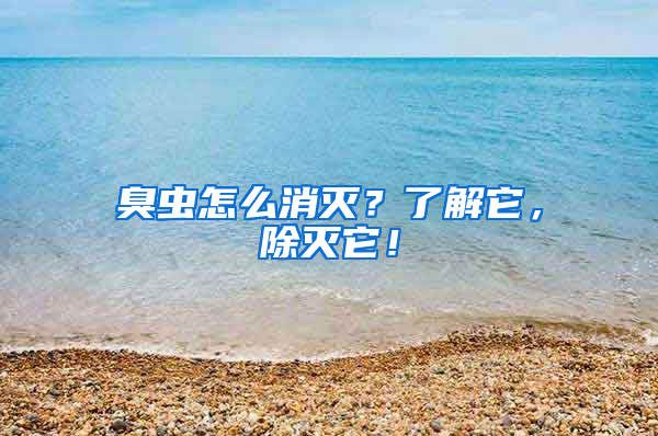 臭蟲怎么消滅？了解它，除滅它！
