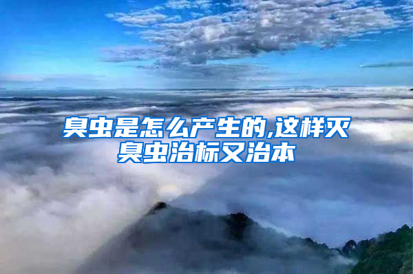 臭蟲是怎么產(chǎn)生的,這樣滅臭蟲治標又治本